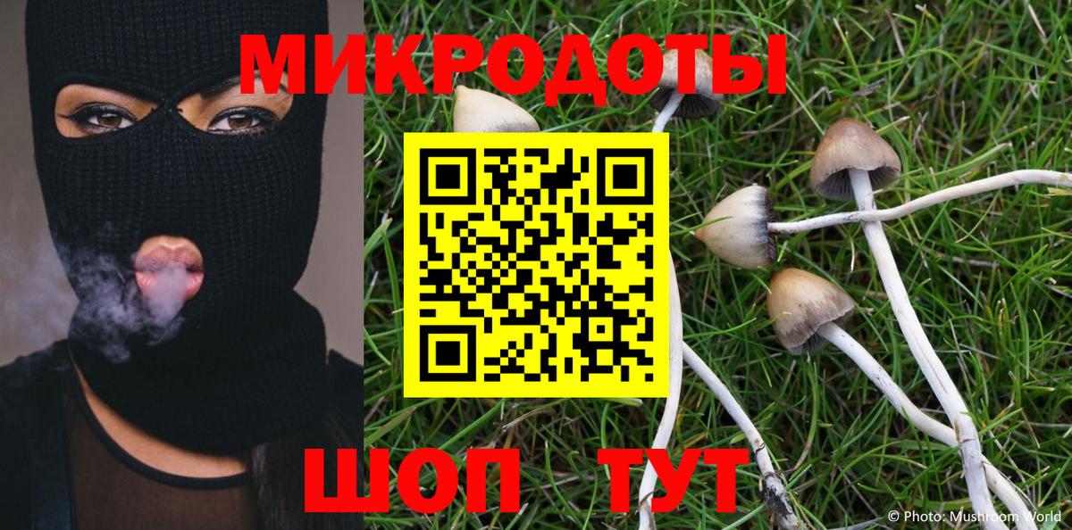 цена   Вход с VPN  Артёмовский  Псилоцибиновые грибы Psilocybine cubensis 