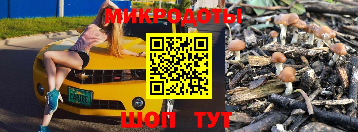цена   Артёмовский  Псилоцибиновые грибы мухоморы 