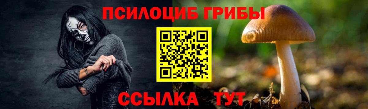 Галлюциногенные грибы прущие грибы Артёмовский